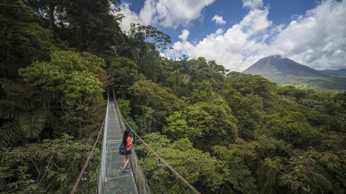 Arenal Hanging Bridges Tour Ecogetaways